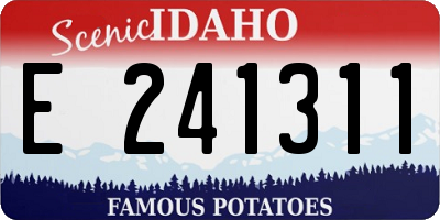 ID license plate E241311