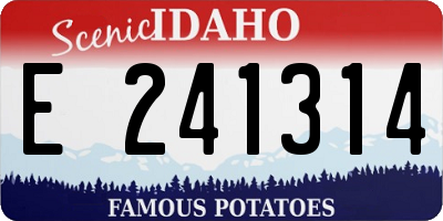 ID license plate E241314