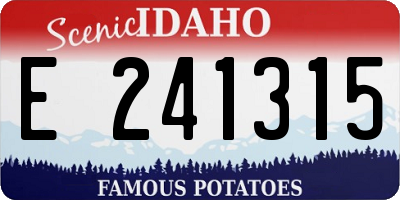 ID license plate E241315