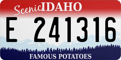 ID license plate E241316