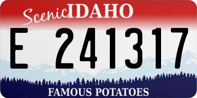 ID license plate E241317