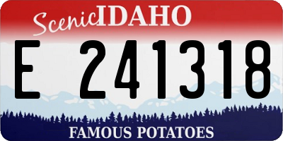 ID license plate E241318