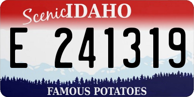 ID license plate E241319
