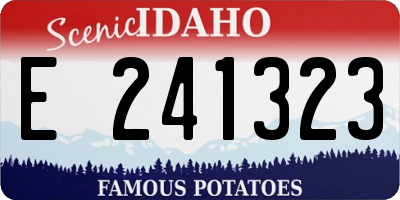 ID license plate E241323