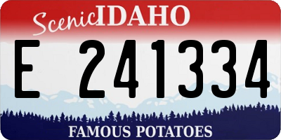 ID license plate E241334