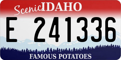 ID license plate E241336