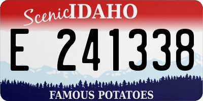 ID license plate E241338