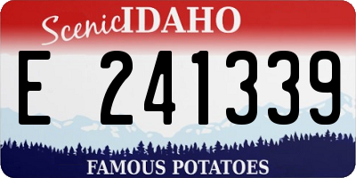 ID license plate E241339