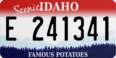 ID license plate E241341
