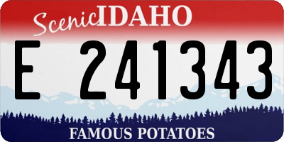 ID license plate E241343