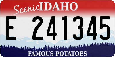 ID license plate E241345