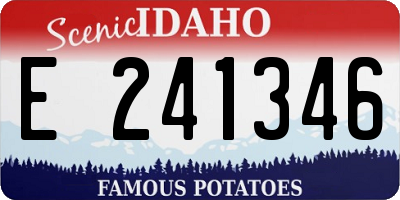 ID license plate E241346