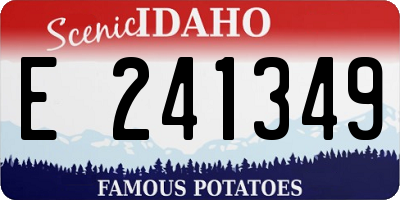 ID license plate E241349