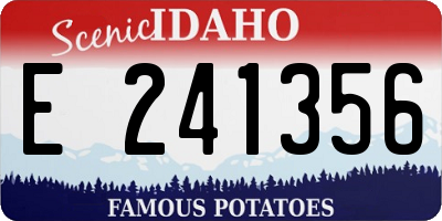 ID license plate E241356
