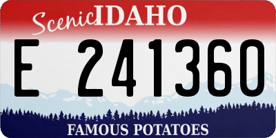 ID license plate E241360
