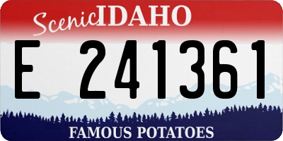 ID license plate E241361