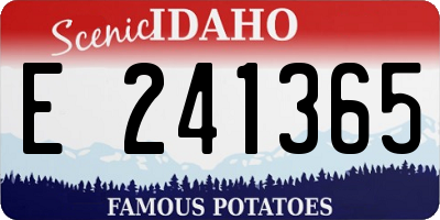 ID license plate E241365