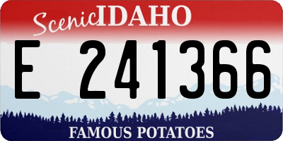 ID license plate E241366