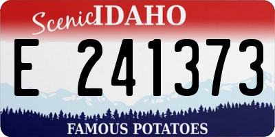 ID license plate E241373