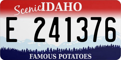ID license plate E241376