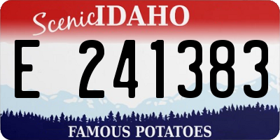 ID license plate E241383