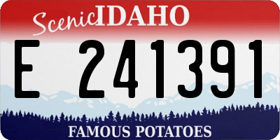 ID license plate E241391