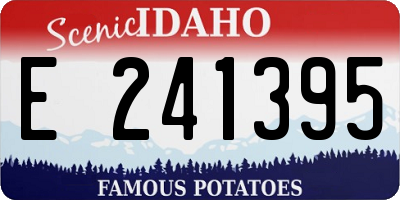 ID license plate E241395