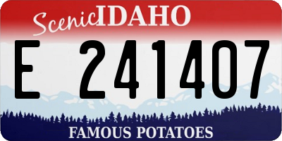 ID license plate E241407