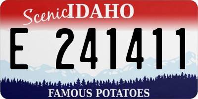 ID license plate E241411