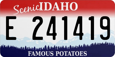 ID license plate E241419