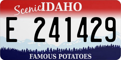 ID license plate E241429