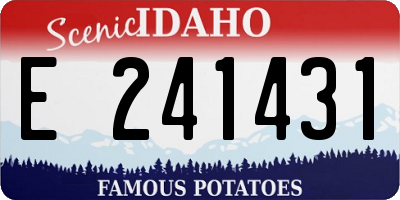 ID license plate E241431