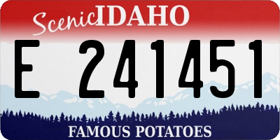 ID license plate E241451