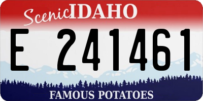 ID license plate E241461