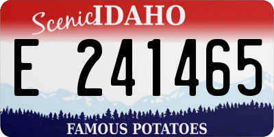 ID license plate E241465