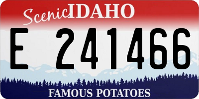 ID license plate E241466