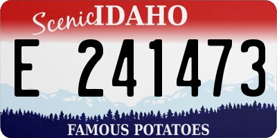 ID license plate E241473