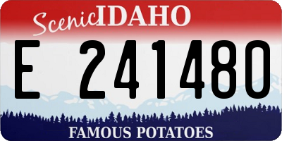 ID license plate E241480