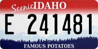 ID license plate E241481