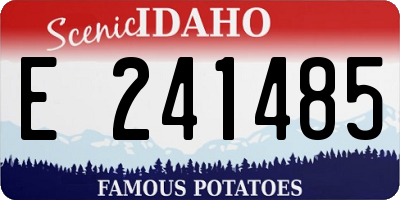 ID license plate E241485