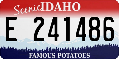 ID license plate E241486
