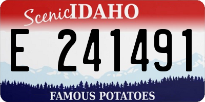 ID license plate E241491