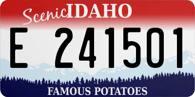ID license plate E241501