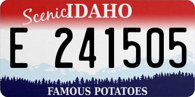 ID license plate E241505