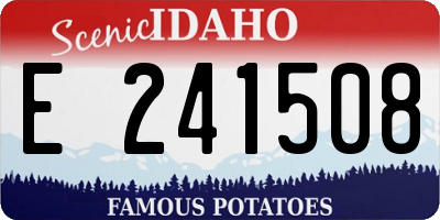 ID license plate E241508
