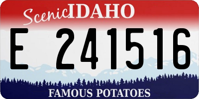 ID license plate E241516