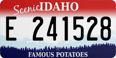 ID license plate E241528