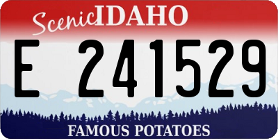 ID license plate E241529