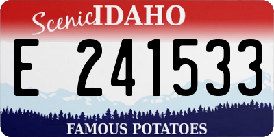 ID license plate E241533