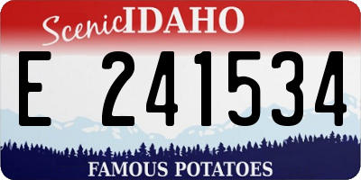 ID license plate E241534
